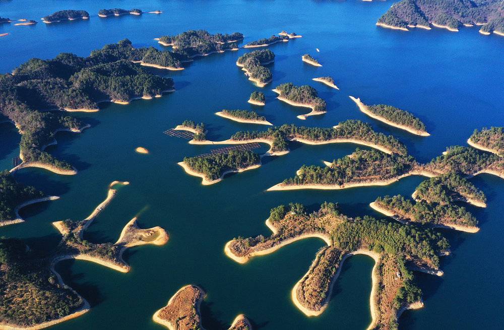 百家樂：鍾睒睒：營銷大師滑鉄盧