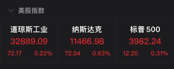 马斯克“嗨了”！一夜暴涨，重回世界首富！